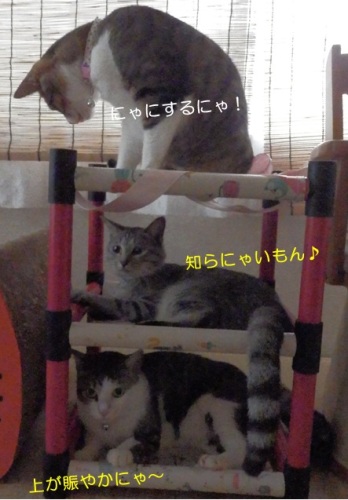 20150722_2.jpg