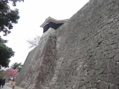 DSC00720.jpg