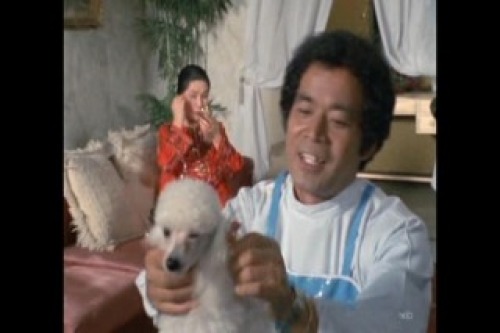 PDVD_045.jpg