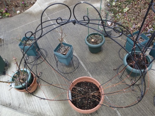 DSC02337 - コピー.jpg