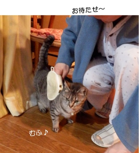 20150420_4.jpg