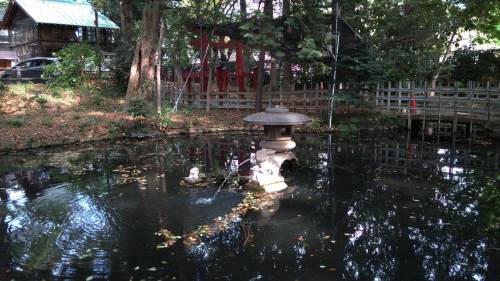 20151101調神社07　池.jpg