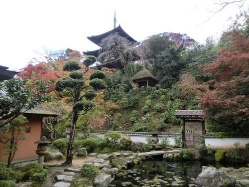 CIMG5048當麻寺庭.jpg