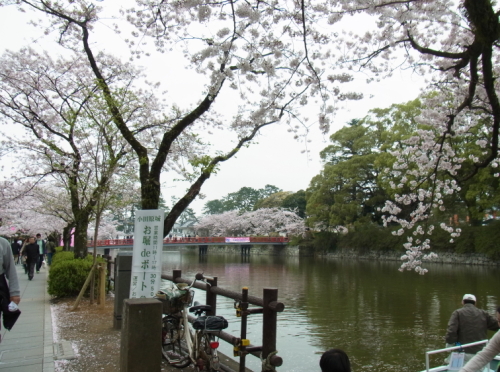 20130330小田原　02お堀.jpg