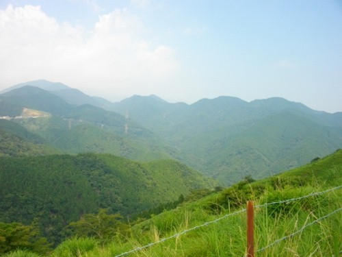 大野山登山道丹沢 (500x375).jpg