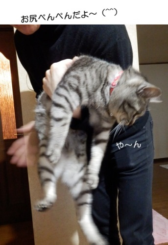 20150318_4.jpg