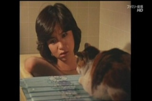 PDVD_025.jpg