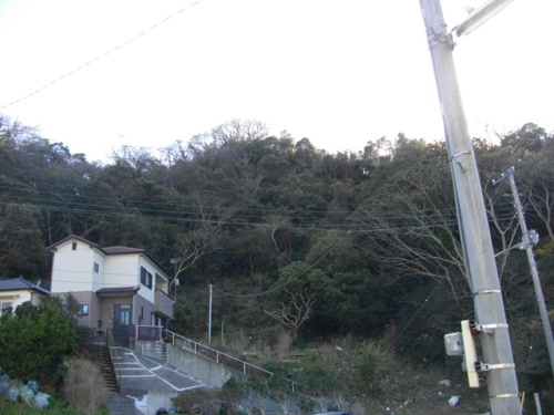 安房勝山城遠景.JPG