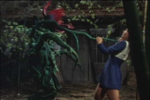 PDVD_069.jpg