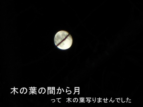 チャン27.jpg
