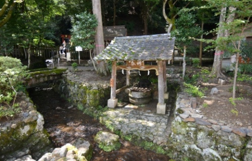 pict-松尾大社 26.jpg