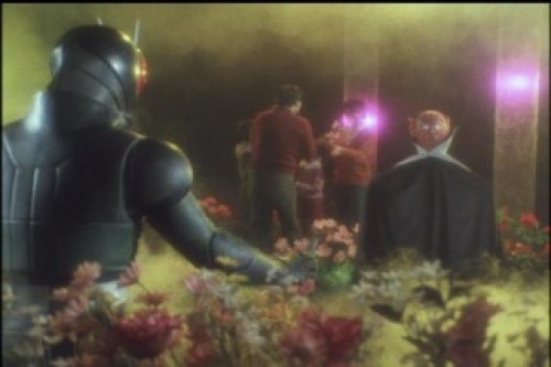 PDVD_037.jpg