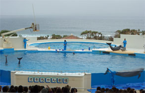 沖縄612.jpg