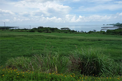 石垣310.jpg