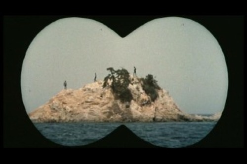 PDVD_006.jpg