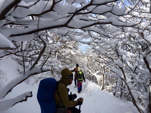 201501041226_5547_iphone.jpg