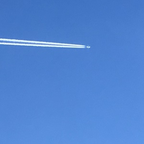 2014.1.14昼過ぎ  IMG_3644.jpg