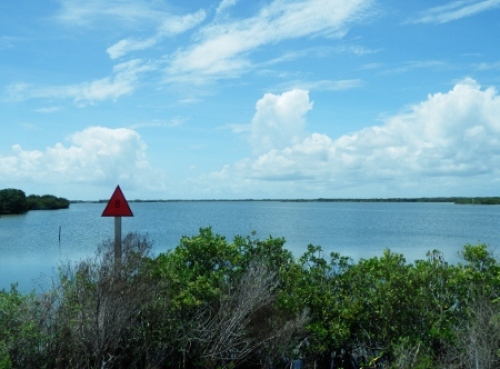 P8050317 (450x332).jpg