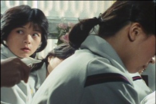 PDVD_014.jpg