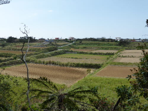 P1000149.JPG