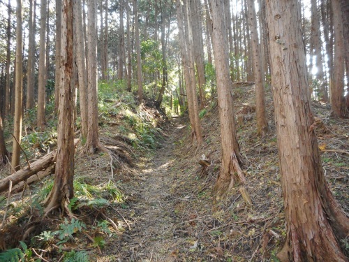 上赤坂城三の木戸 (1).JPG