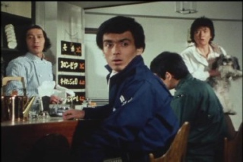 PDVD_016.jpg