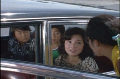 PDVD_002.jpg