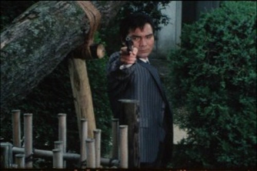 PDVD_017.jpg