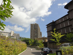 天原111.jpg