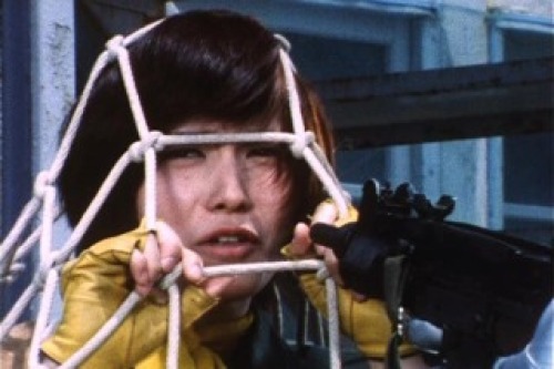 PDVD_001.jpg
