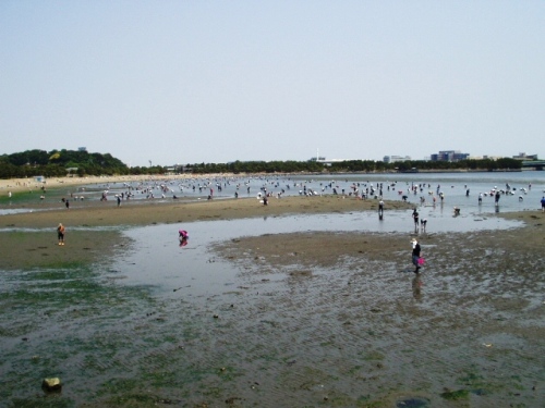 海の公園０４.JPG