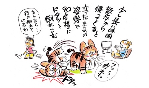 ブログ-4.jpg