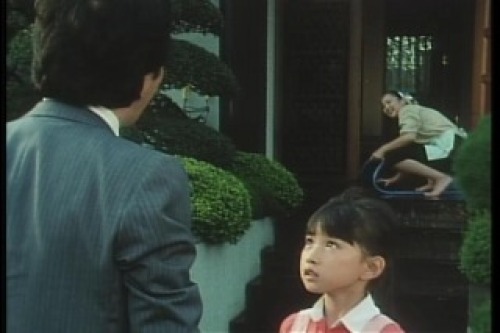 PDVD_034.jpg