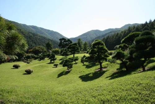 韓国　アチムゴヨ　樹木園