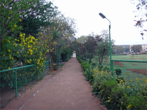 インド554.jpg