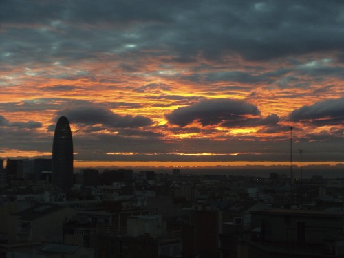 DSC04016.jpg