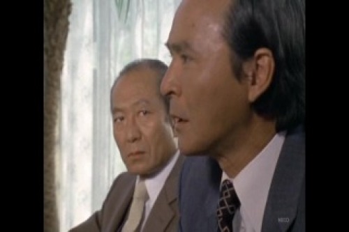 PDVD_014.jpg