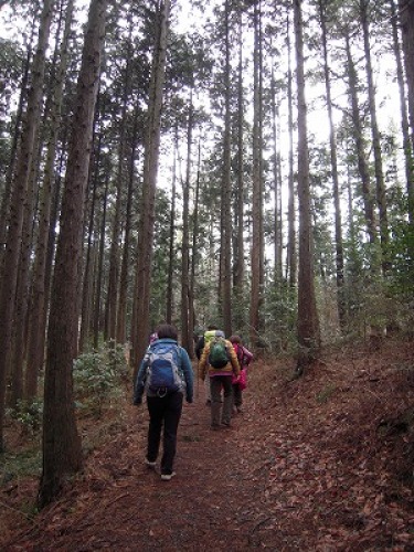 DSCN0443.jpg