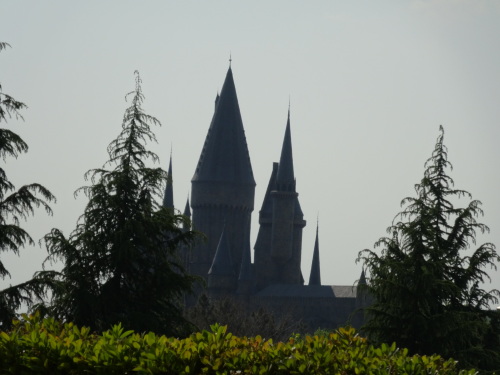 20140502-3.JPG