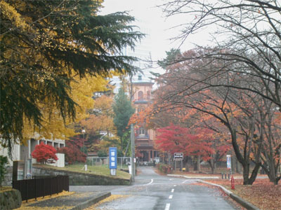 霞城公園12.jpg