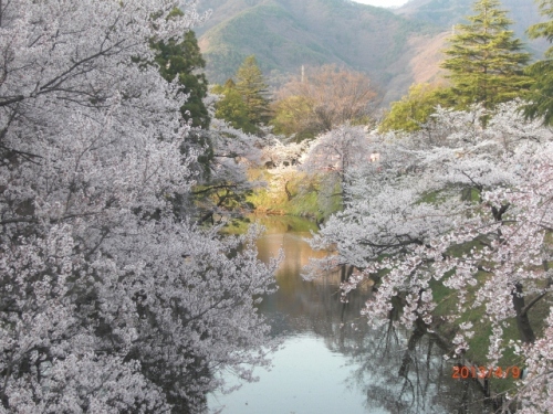 CIMG6745 (640x480).jpg