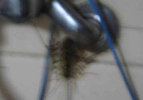 20120912xx.jpg