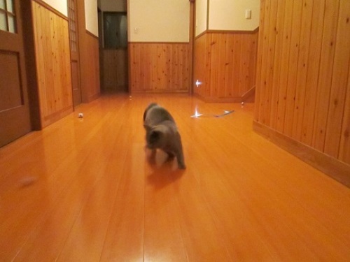 0127p.jpg