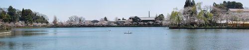 20120407大多和.jpg