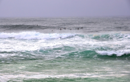 pict-エフカイ 2.jpg