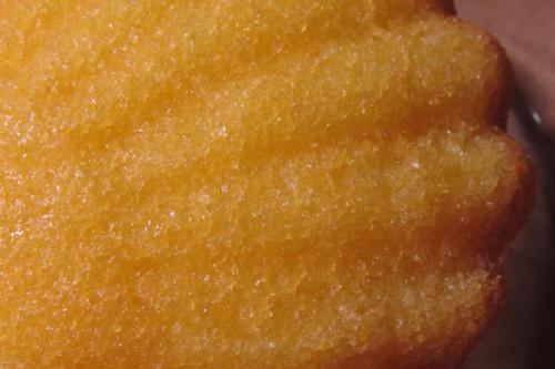 生マドレーヌ 2.jpg