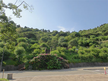 宮崎8.jpg