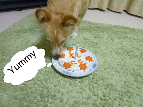 美味しい.jpg