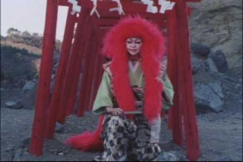 PDVD_014.jpg