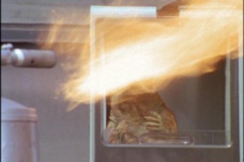 PDVD_007.jpg